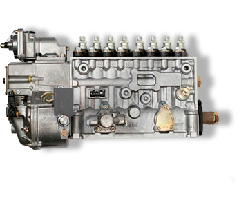 nucCat52